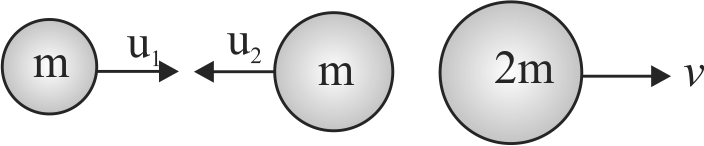 supporting img