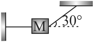 supporting img