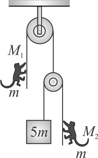 supporting img